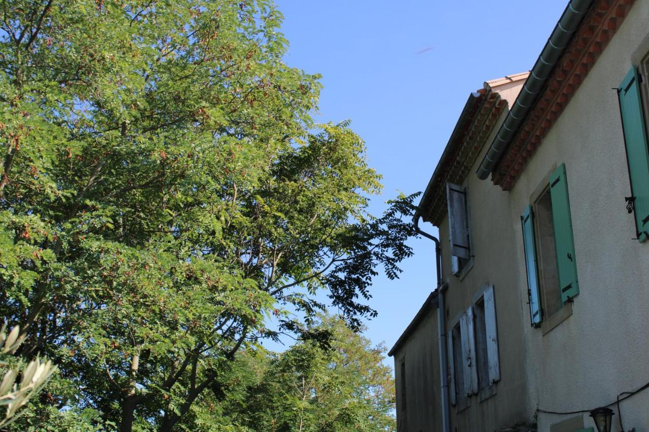 RoutierLe Chat Botte - Vankantiehuis In Languedoc-Roussillion住宿加早餐旅馆 外观 照片